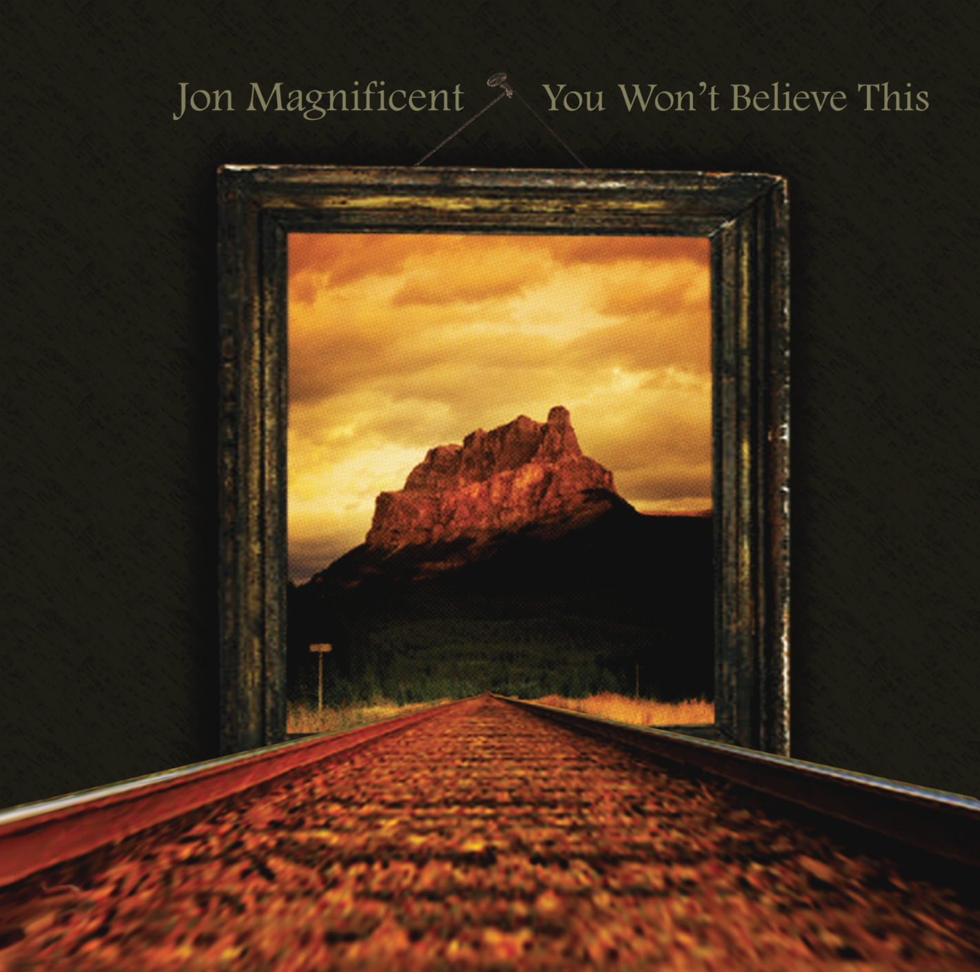 You Won’t Believe This — approved cover artwork